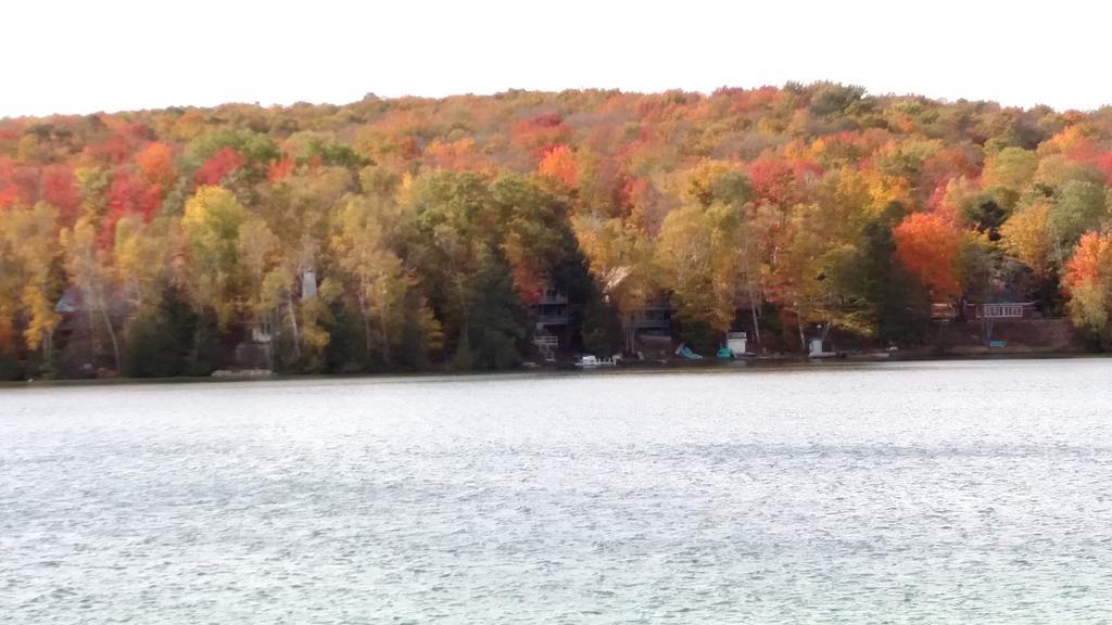 Ferienhaus Log On Blue Kalkaska