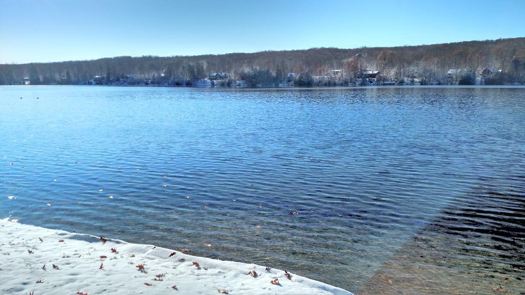 Log On Blue Kalkaska